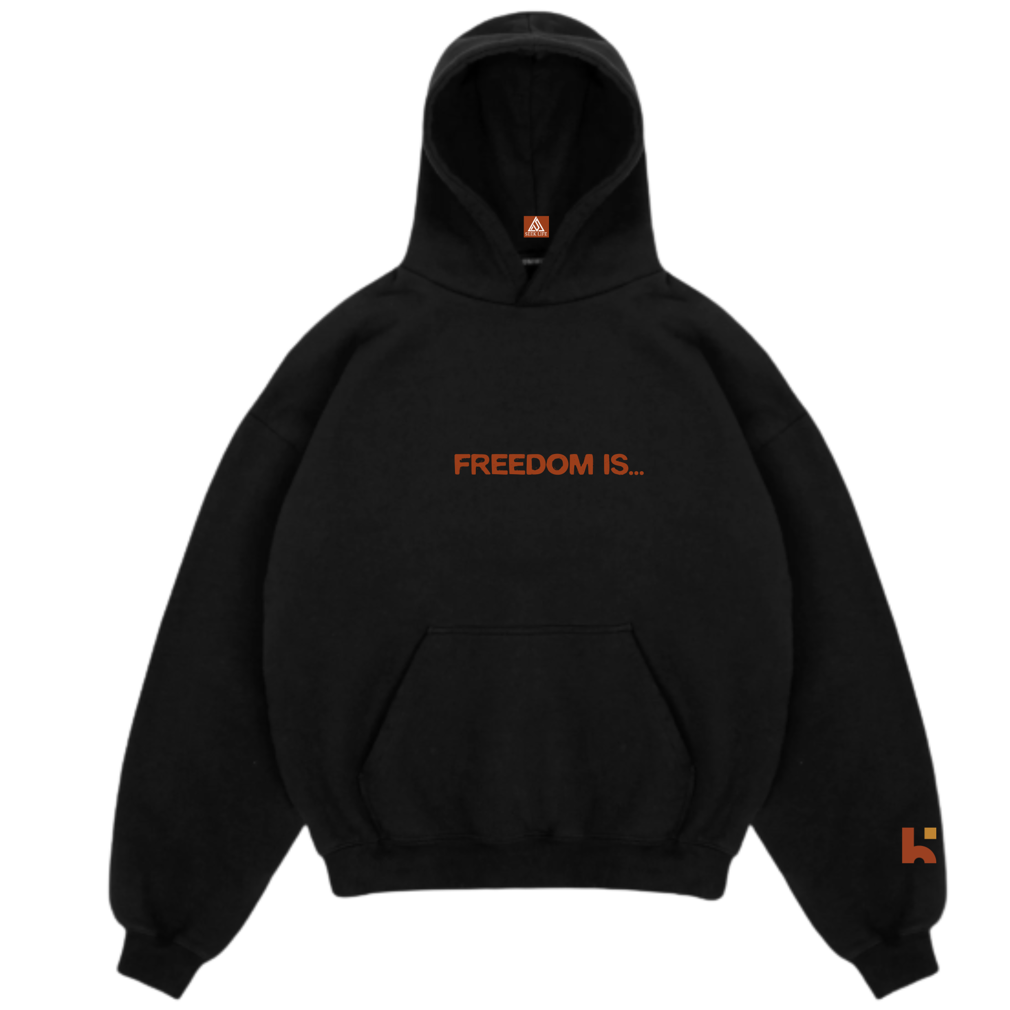 Healing Experiene The Return Tour Hoodie (Black)